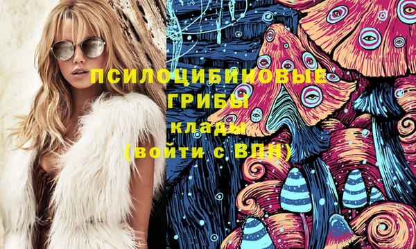 шишки Янаул