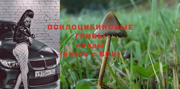 шишки Янаул