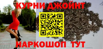 шишки Кимры