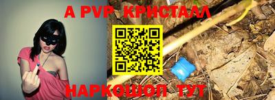 шишки Кимры