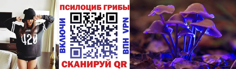 Псилоцибиновые грибы Cubensis  Норильск 